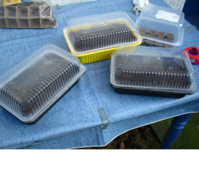 Micro-Anzucht-Beete.jpg