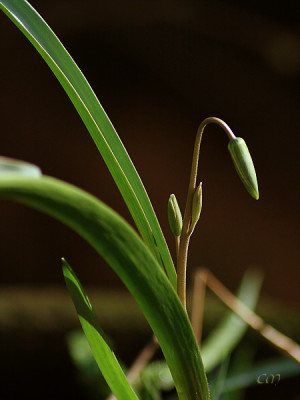 Februar_26-1BCD.jpg