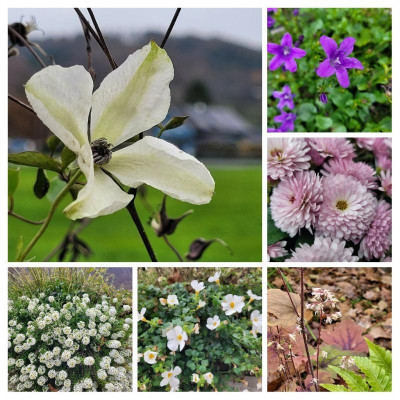 20211117_100640-COLLAGE.jpg