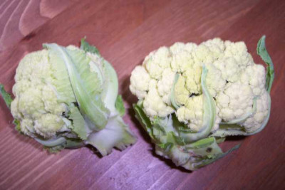 K640_100_4856.JPG