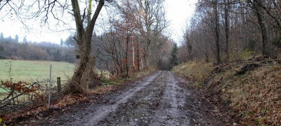 20211119_113030.jpg