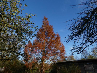 2021_1121NovemberMitte0094.jpg