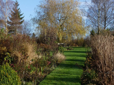 2021_1121NovemberMitte0091.JPG