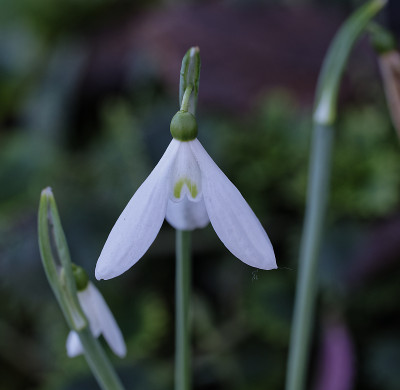 DSC_3620_DxO.jpg