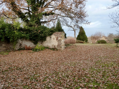 tg_211123_1.jpg