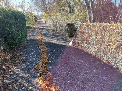 Weg Laubarm.jpg