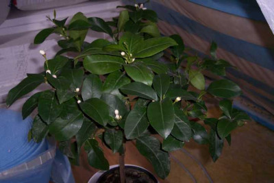 K640_100_4858.JPG