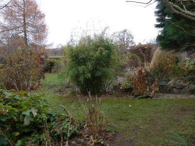 2021-11-25 Garteneinblick 2.jpg