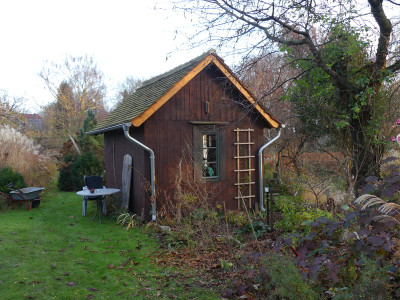 2021-11-25 Garteneinblick 10.jpg