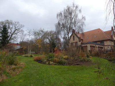 2021-11-26 Garteneinblick 2.jpg
