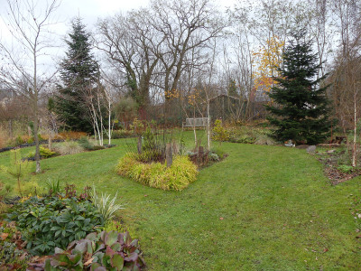 2021-11-26 Garteneinblick 4.jpg