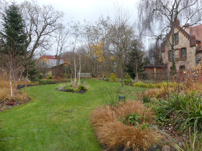 2021-11-26 Garteneinblick 3.jpg