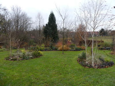 2021-11-26 Garteneinblick 5.jpg