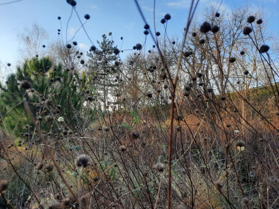 20211127_152959.jpg