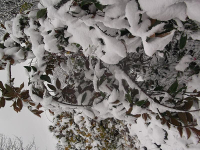 DSCF4634.JPG