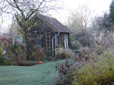 2021-11-28 Gartenimpressionen 2.jpg