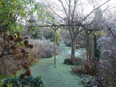 2021-11-28 Gartenimpressionen 8.jpg