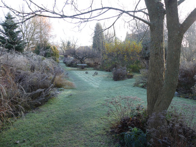 2021-11-28 Gartenimpressionen 9.jpg