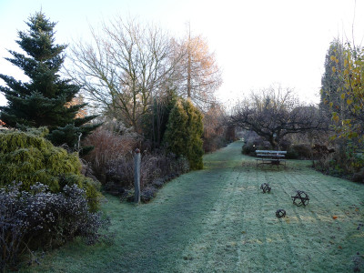 2021-11-28 Gartenimpressionen 10.jpg
