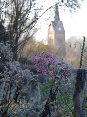 2021-11-28 Gartenimpressionen 52.jpg
