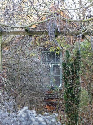 2021-11-28 Gartenimpressionen 53.jpg