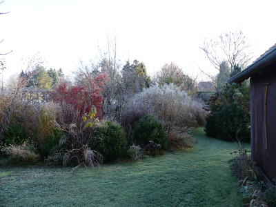 2021-11-28 Gartenimpressionen 54.jpg