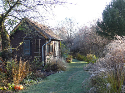 2021-11-28 Gartenimpressionen 64.jpg