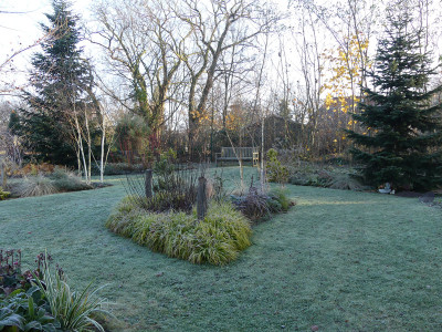 2021-11-28 Gartenimpressionen 18.jpg