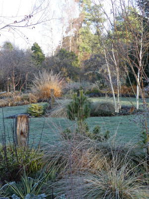 2021-11-28 Gartenimpressionen 21.jpg