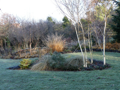 2021-11-28 Gartenimpressionen 23.jpg