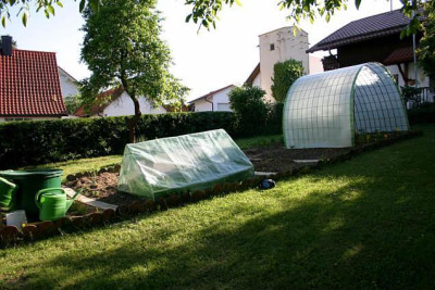 Tomaten00507a.jpg