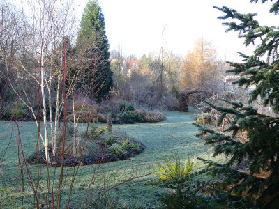 2021-11-28 Gartenimpressionen 25.jpg