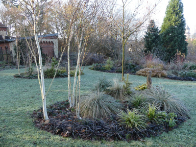 2021-11-28 Gartenimpressionen 26.jpg