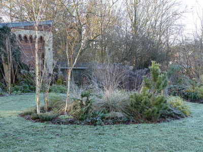 2021-11-28 Gartenimpressionen 28.jpg