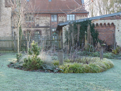 2021-11-28 Gartenimpressionen 33.jpg