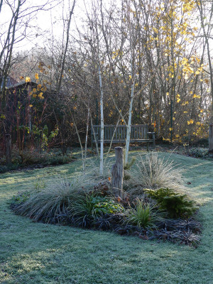 2021-11-28 Gartenimpressionen 45.jpg
