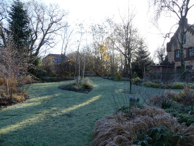 2021-11-28 Gartenimpressionen 46.jpg
