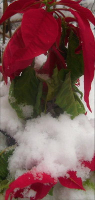 DSCF4638.JPG