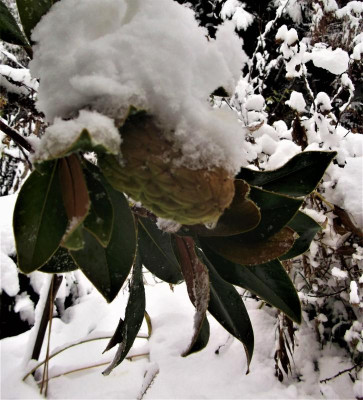 DSCF4636.JPG