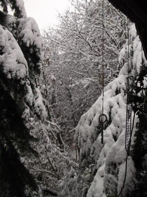 DSCF4619.JPG