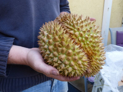 2014-08-13 Durian.jpg