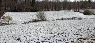 20211129_125120.jpg