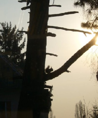 Morgenstimmung.JPG