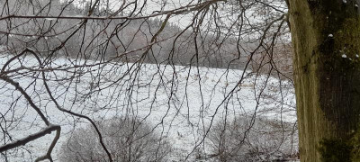 20211202_112522.jpg