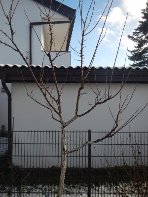 DSCN9458.JPG