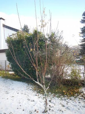DSCN9459.JPG