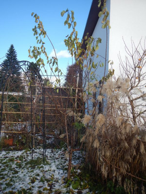 DSCN9461.JPG