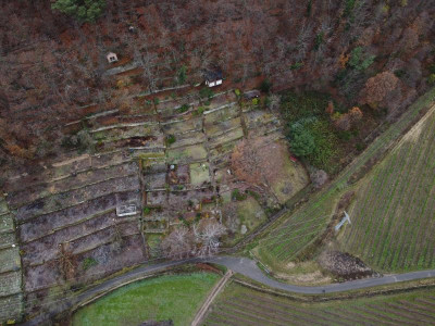 DJI_0032.jpg