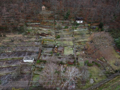 DJI_0089.jpg
