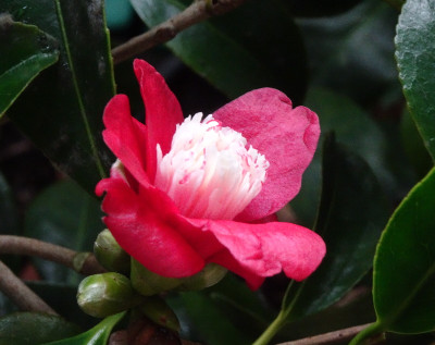 DSC07671.jpg